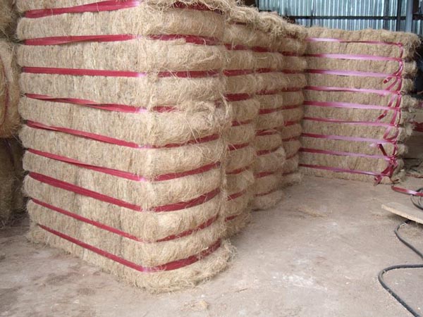 Cocofibre Bale - Kinh Lữ - Công Ty TNHH Thương Mại Dịch Vụ Du Lịch Kinh Lữ